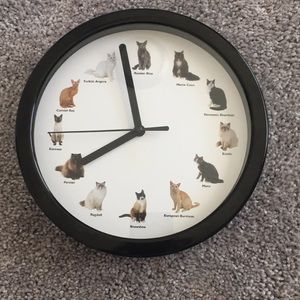 Amazing CAT CLOCK!!!